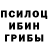 Галлюциногенные грибы GOLDEN TEACHER lmnann