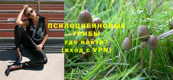гидра Алзамай