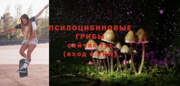 гидра Алзамай