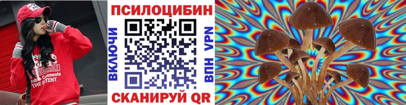 Псилоцибиновые грибы GOLDEN TEACHER  Ковылкино 